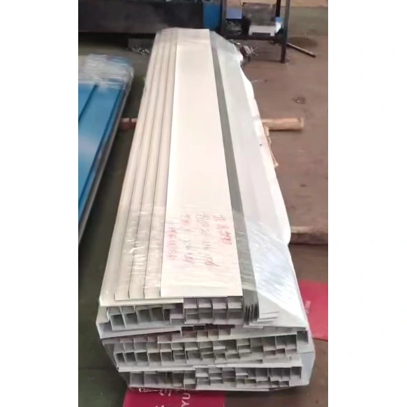 Composants de garniture de bord de toit en acier pour le revêtement